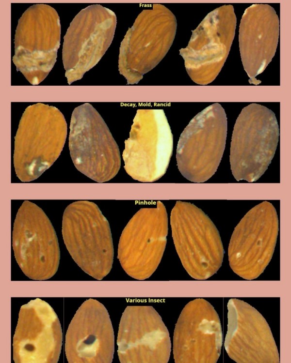 Noix et produits secs en vrac