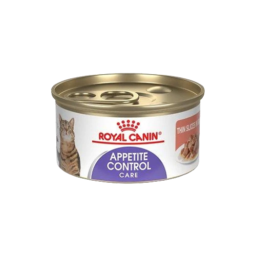 Nourriture en conserve pour chiens